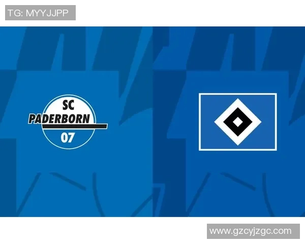 帕德伯恩对汉堡比赛结果解读0比2的含义与影响分析